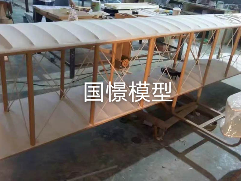 莘县飞机模型